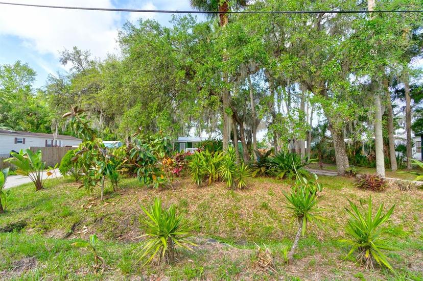 Picture of 1774 Elizabeth Street, New Smyrna Beach FL 32168