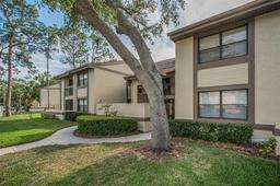 Picture of 209 Woodlake Wynde, Oldsmar, FL 34677