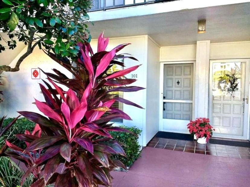 Picture of 6295 Bahia Del Mar Circle Unit 101, St Petersburg FL 33715