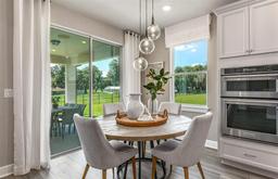 Picture of 9954 Trellis Vine Way, Parrish, FL 34219