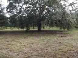 Picture of 5795 S Power Terrace, Homosassa, FL 34446