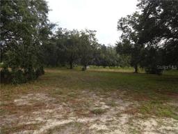 Picture of 5795 S Power Terrace, Homosassa, FL 34446