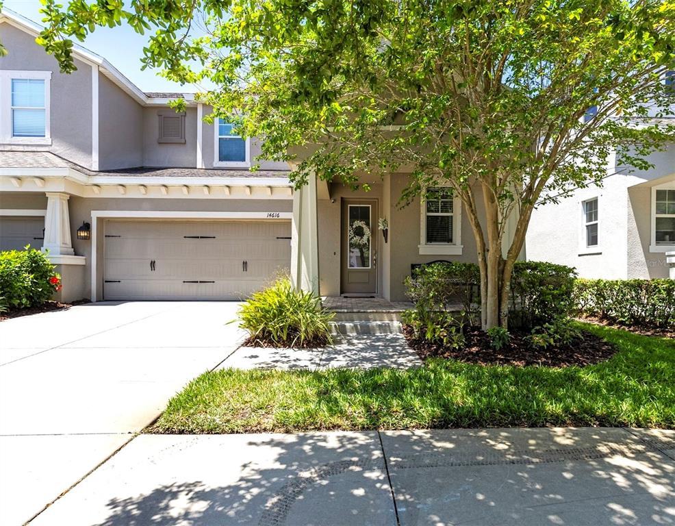 Picture of 14616 Rocky Brook Drive, Tampa, FL 33625