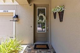 Picture of 14616 Rocky Brook Drive, Tampa, FL 33625