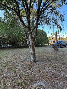 Picture of 9900 Ideal Lane, Hudson, FL 34667