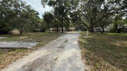 Picture of 11727 N Ola Avenue, Tampa, FL 33612