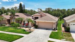Picture of 12546 Blazing Star Drive, Tampa, FL 33626