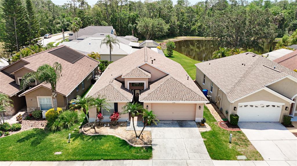 Picture of 12546 Blazing Star Drive, Tampa, FL 33626
