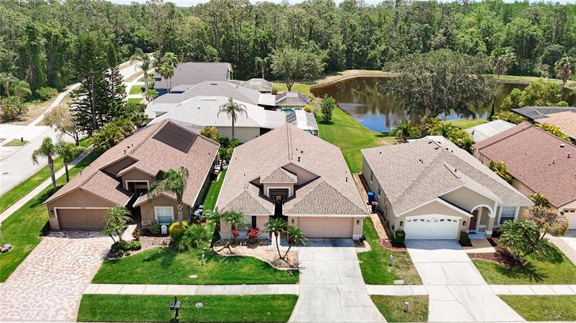 Picture of 12546 Blazing Star Drive, Tampa FL 33626