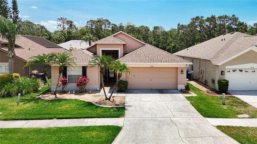 Picture of 12546 Blazing Star Drive, Tampa FL 33626