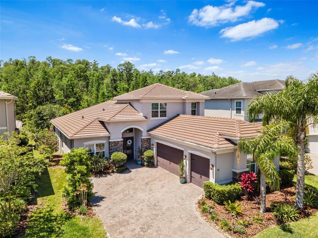 Picture of 31050 Spruceberry Court, Wesley Chapel, FL 33543