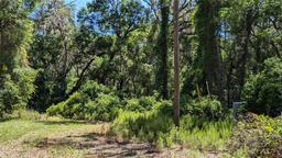 Picture of 303 SE 130Th Terrace, Gainesville, FL 32641