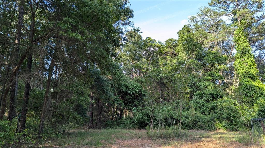 Picture of 303 SE 130Th Terrace, Gainesville, FL 32641
