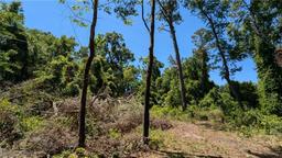 Picture of 303 SE 130Th Terrace, Gainesville, FL 32641