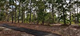 Picture of 13197 Gulf Bay Lane, Spring Hill, FL 34609