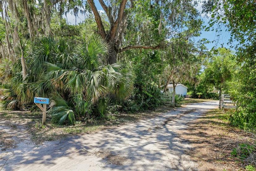 Picture of 300 Carol Ann Drive, Edgewater FL 32132