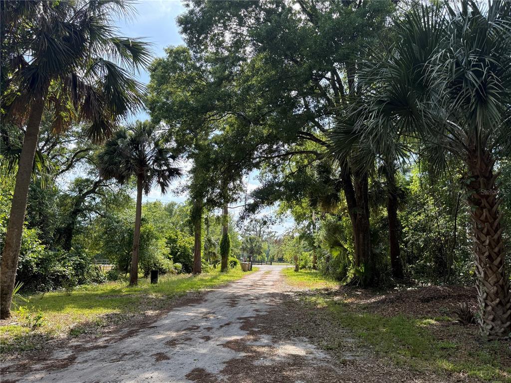 Picture of 38718 County Road 439, Eustis, FL 32736
