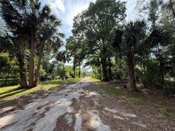 Picture of 38718 County Road 439, Eustis, FL 32736