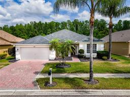 Picture of 16113 Rambling Road, Odessa, FL 33556