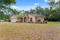 Picture of 15703 Walden Avenue, Tampa, FL 33618