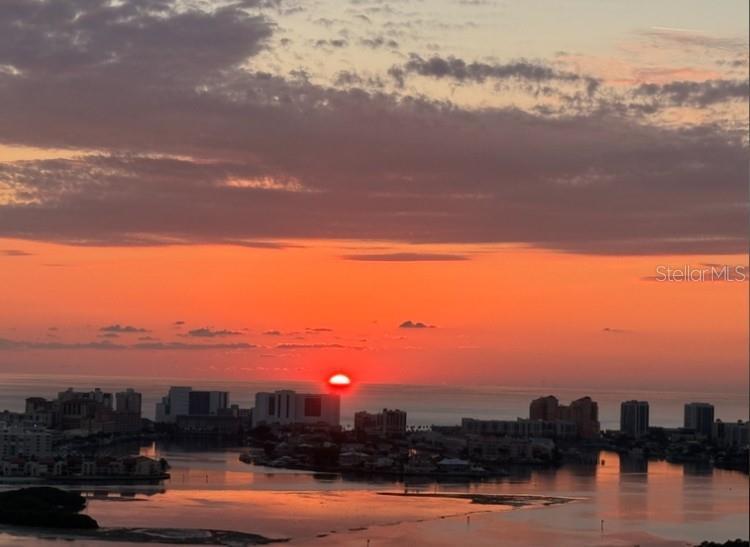 Picture of 331 Cleveland Street Unit 2402, Clearwater FL 33755