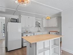 Picture of 1081 SE 174Th Terrace, Silver Springs, FL 34488