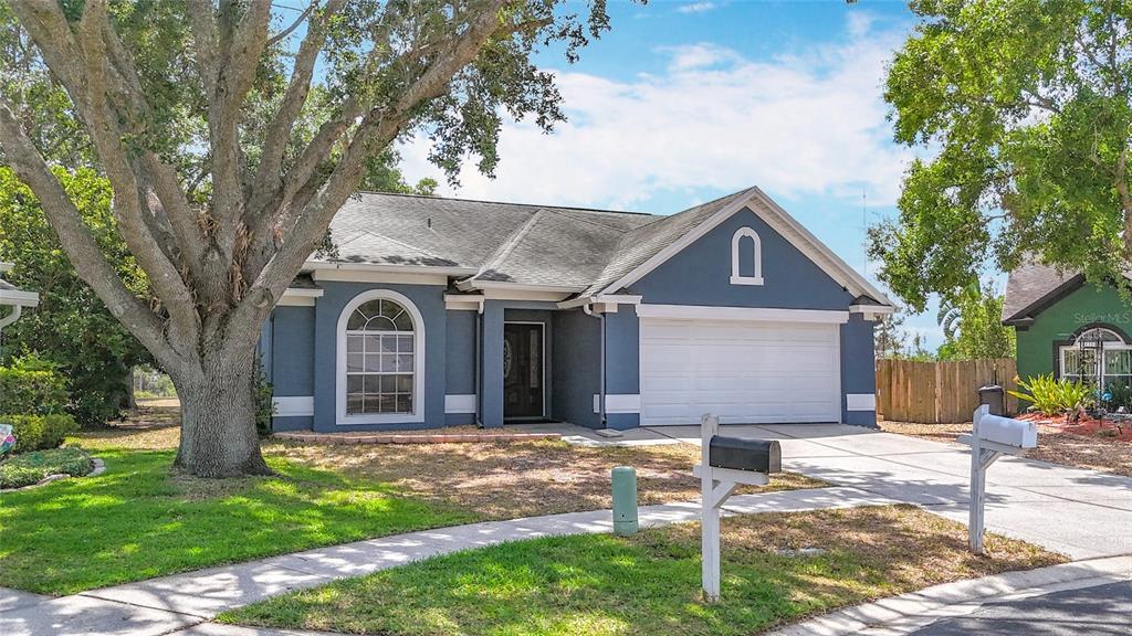 Picture of 4722 Lighterwood Way, Valrico, FL 33596