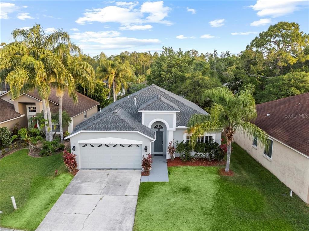 Picture of 12531 Blazing Star Drive, Tampa, FL 33626