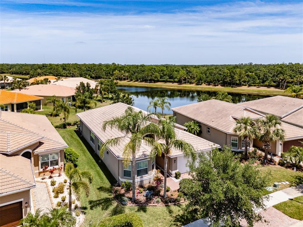 Picture of 16106 Cedar Key Drive, Wimauma, FL 33598