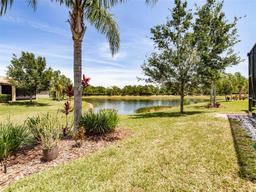 Picture of 16106 Cedar Key Drive, Wimauma, FL 33598