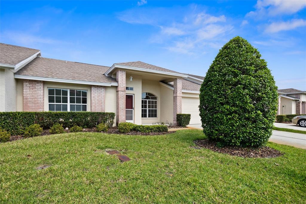 Picture of 1046 Almondwood Drive, Trinity, FL 34655