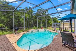 Picture of 3785 Birch Mountain Road, Port Orange, FL 32129