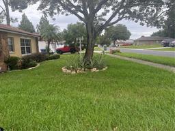 Picture of 808 Ware Avenue Ne, Winter Haven, FL 33881