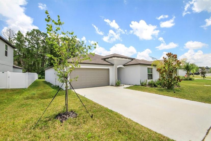 Picture of 13419 Willow Bluestar Loop, Riverview FL 33579