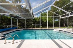 Picture of 1551 Mcauliffe Lane, Palm Harbor, FL 34683