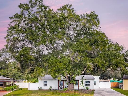 Picture of 4201 S Renellie Drive, Tampa FL 33611