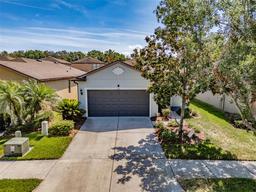 Picture of 4516 Savannah Holly Place, Riverview, FL 33578