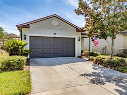 Picture of 4516 Savannah Holly Place, Riverview, FL 33578