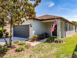 Picture of 4516 Savannah Holly Place, Riverview, FL 33578
