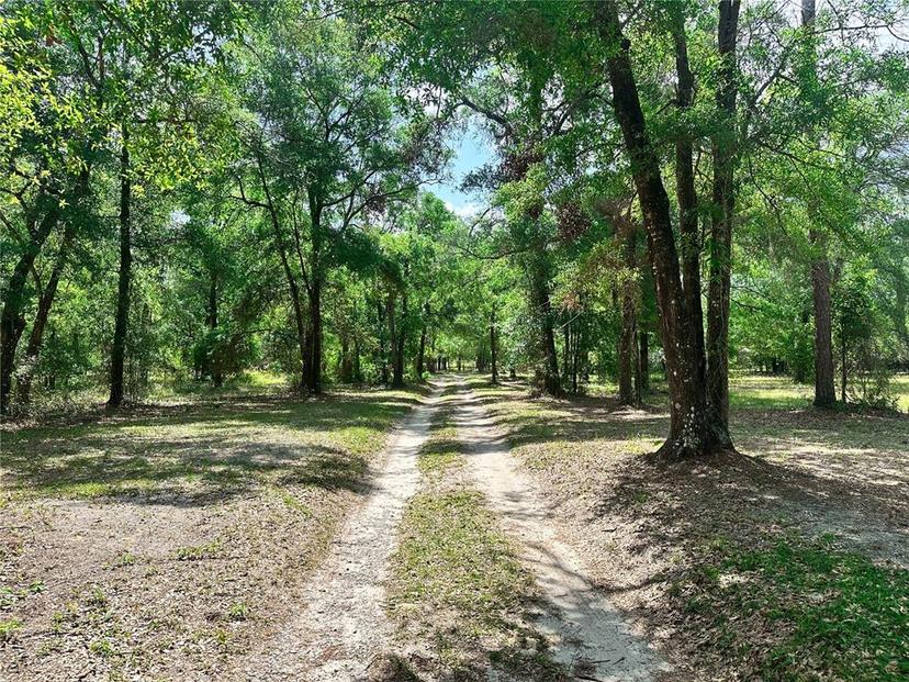 Picture of 1345 SW Cumorah Hill Street, Fort White FL 32038