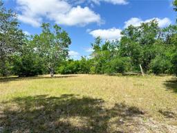 Picture of 1345 SW Cumorah Hill Street, Fort White, FL 32038