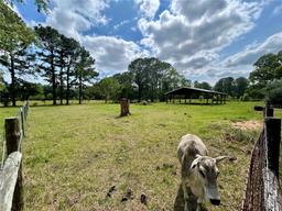 Picture of 7196 NW 205Th Street, Alachua, FL 32615