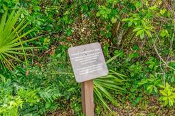 Picture of 2356 Palm Park Loop, Clermont, FL 34714