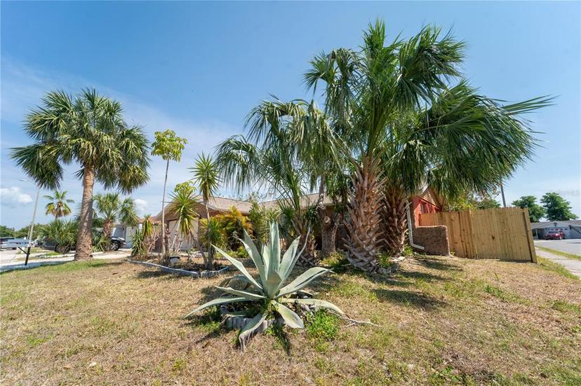 Picture of 6734 Tierra Verde Street, Port Richey FL 34668