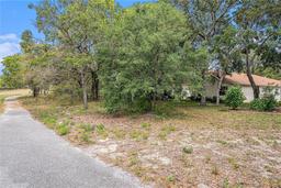 Picture of 371 Quane Avenue, Spring Hill, FL 34609