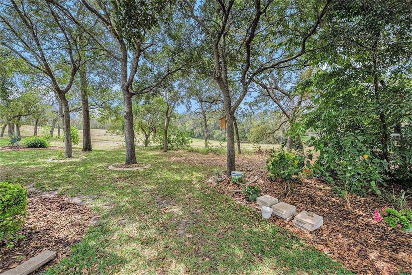 Picture of 371 Quane Avenue, Spring Hill FL 34609