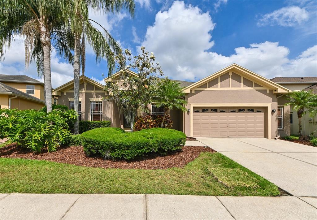 Picture of 3254 Grassglen Place, Wesley Chapel, FL 33544