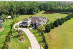 Picture of 17305 Ballmont Park Drive, Odessa, FL 33556