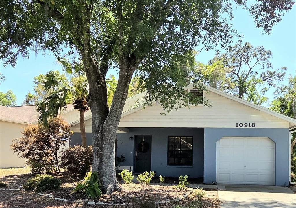 Picture of 10918 Freemont Drive, New Port Richey, FL 34654