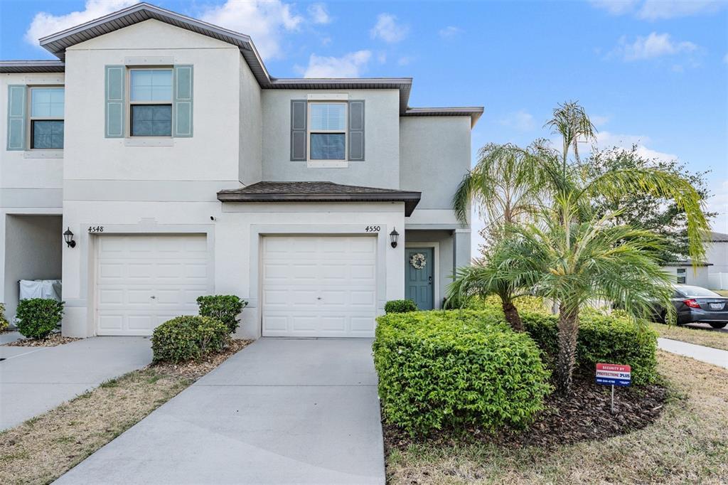 Picture of 4550 Globe Thistle Drive, Tampa, FL 33619